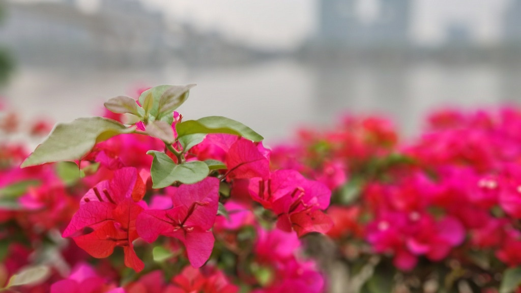 《吸引力法则》：解锁轻松赚钱模式，告别费力追逐