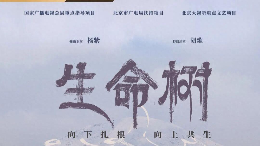 爱奇艺开年大剧《生命树》定档1月30日，品牌抢占CNY营销价值高地