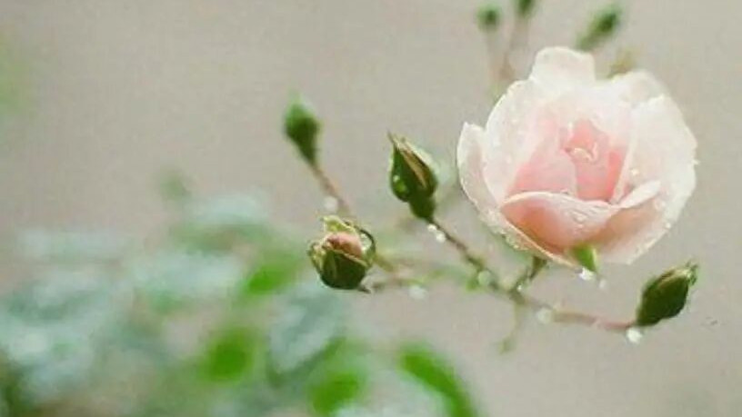 吃药就像走钢丝！双相情感障碍治疗的副作用管理术