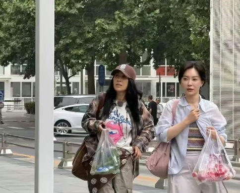 陈数与那英现身大街
气质对比强烈，那英的随性模样像极了邻家大妈