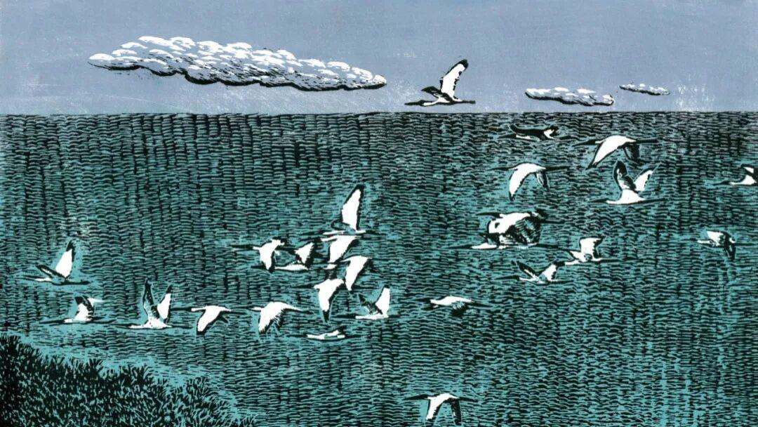 她之灵感：女性艺术家作品展 | 入选作品（二）