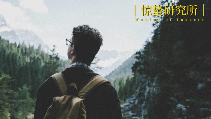 放弃躺赚后，景区赢麻了