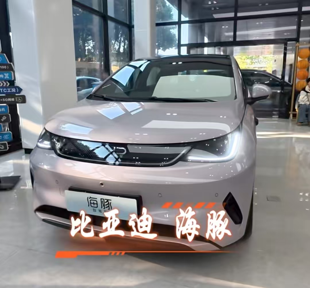 国内8万的海豚，海外卖到25万还得排队抢；国内有人嫌弃比亚迪车标土，海外车主提车
