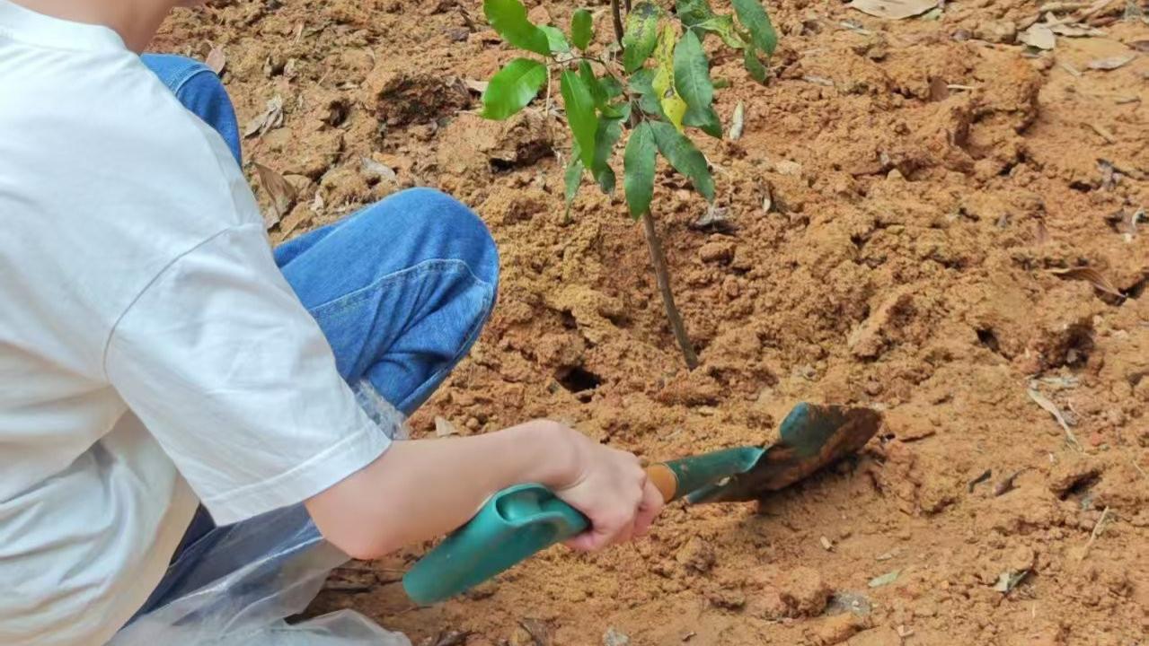 植树节团建｜赴一场春约，种一片新绿🌱
