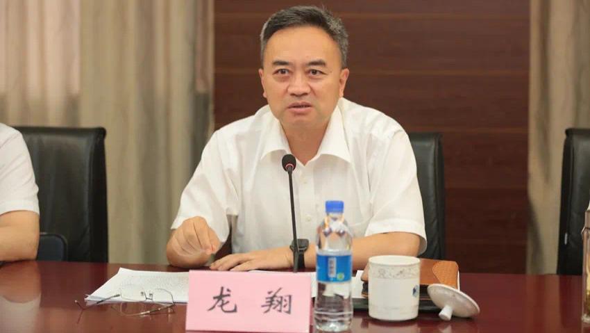 从“纪检铁腕”到“阶下囚”：南京市原主任龙翔的堕落之路与权力异化警示