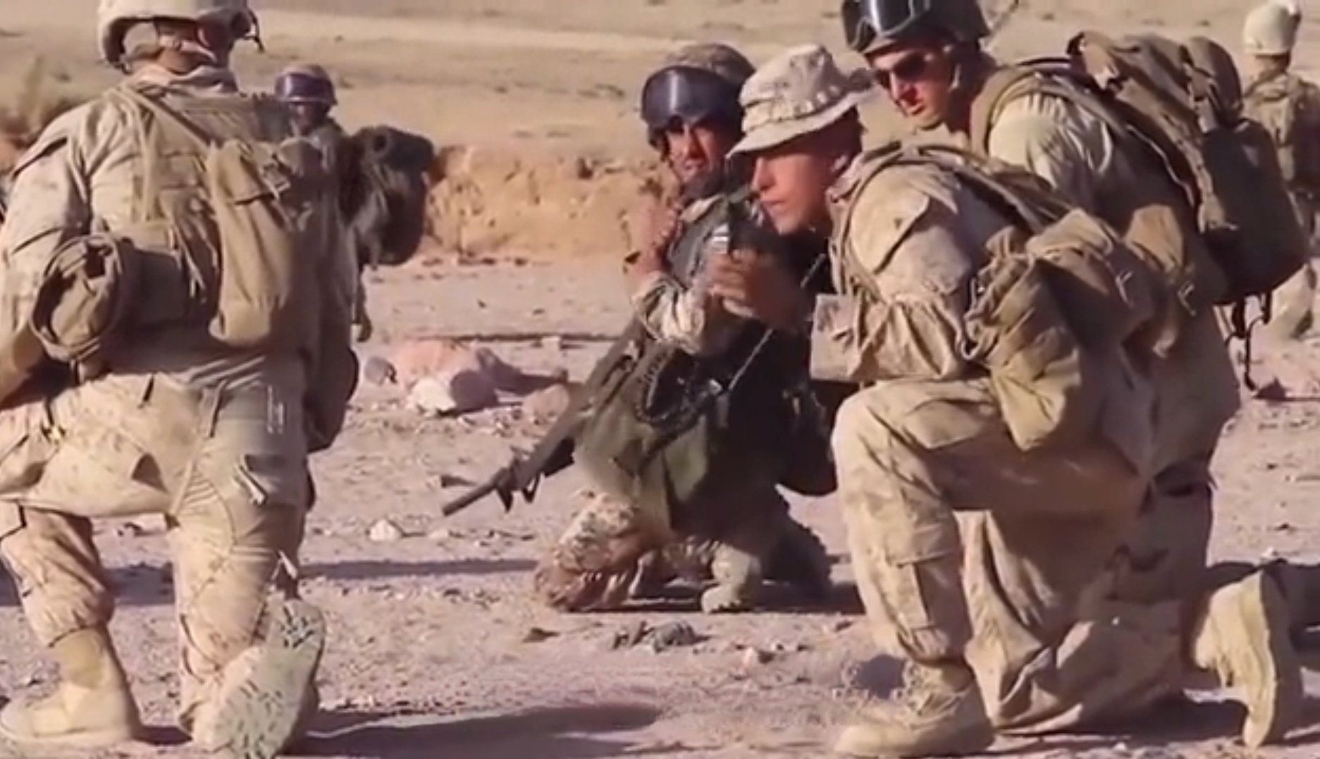 不得不说美军被营救的那个上校飞行员，他的身体素质和应变能力确实很强。
在整个营救