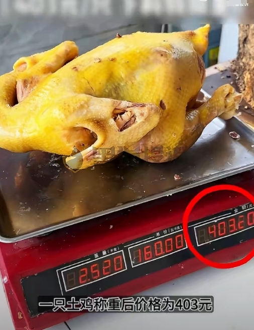 四川一女子买凉拌土鸡，一只竟要403元。她叮嘱少放料，老板却狂加20多勺糖、花椒