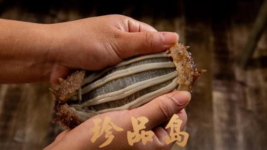 海参的“身份证”怎么辨别？三招教你挑出真正的好货