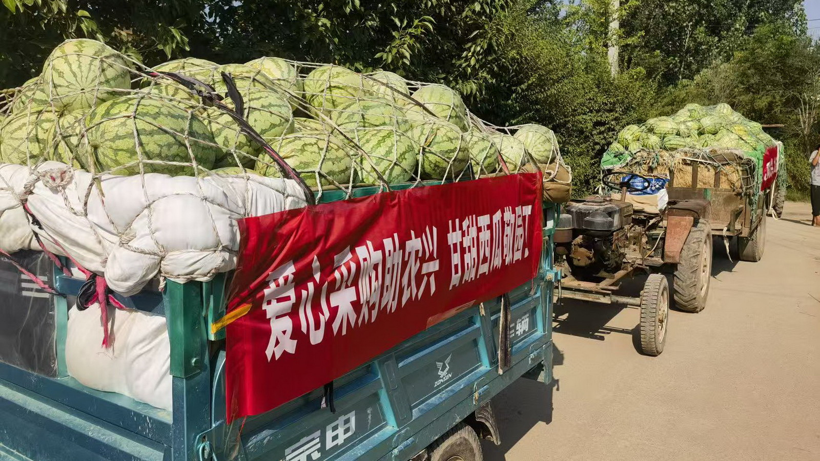 汴梁公益|开封市示范区知联会开展爱心助农活动