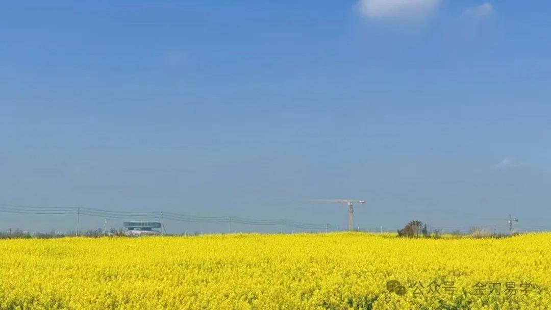 人生百态202：进入人生好运期的人