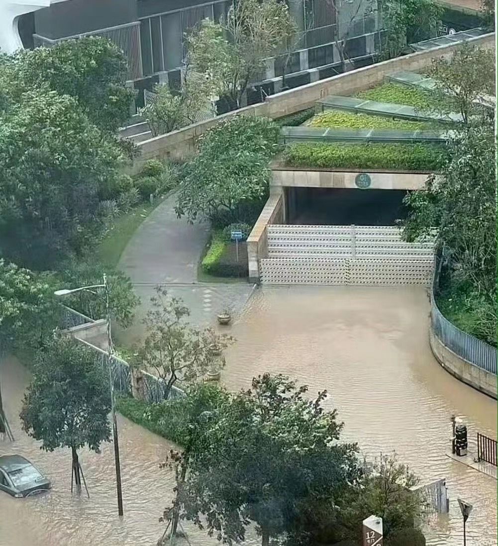这物业太牛了。经此一役，以后不愁收停车费了