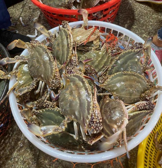 浙江开海✨东海梭子蟹美食寻味攻略！