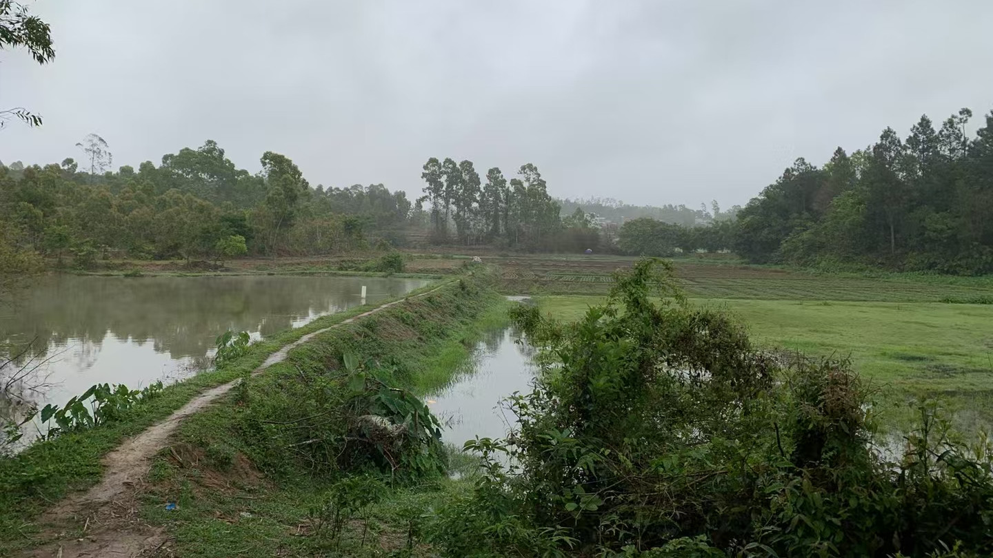 电池MSDS怎么办理？一站式流程与资料清单