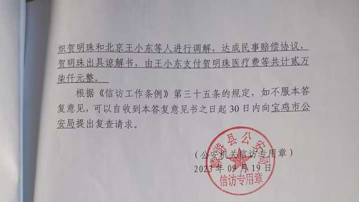 暴力执法下的绝望呐喊：麟游县贺氏父子维权战与执法枉黑幕的正义之困