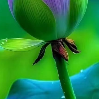 我们明天会更好