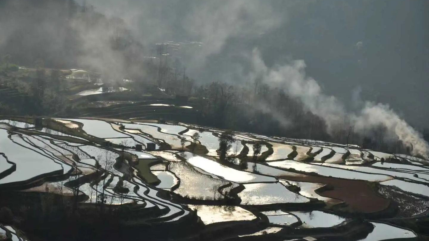 别被攻略骗！过年云南半月4人共花6100的欢乐游记8-放水的元阳梯田