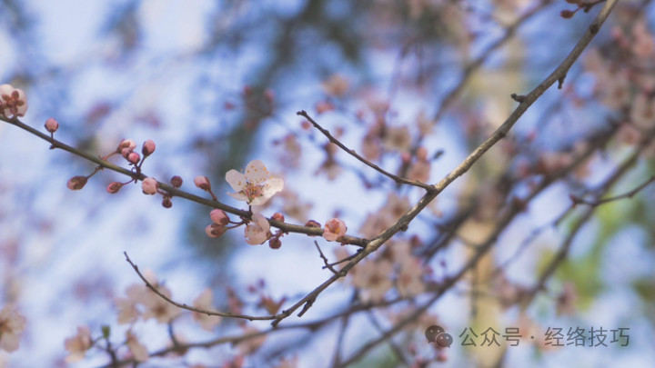 立春前后，这个动作每天做1分钟！一通一补，做完浑身都轻松