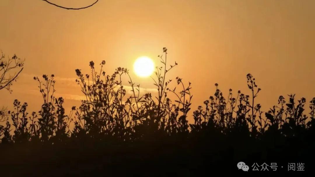 做不了夫妻，就谈一场终身不注销的恋爱
