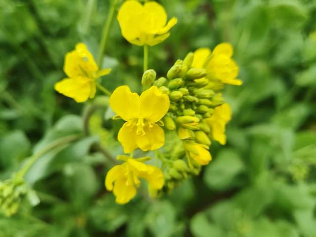 高中孩子止步不前和自驱力匮乏，不是学不会是怕苦和看不到希望