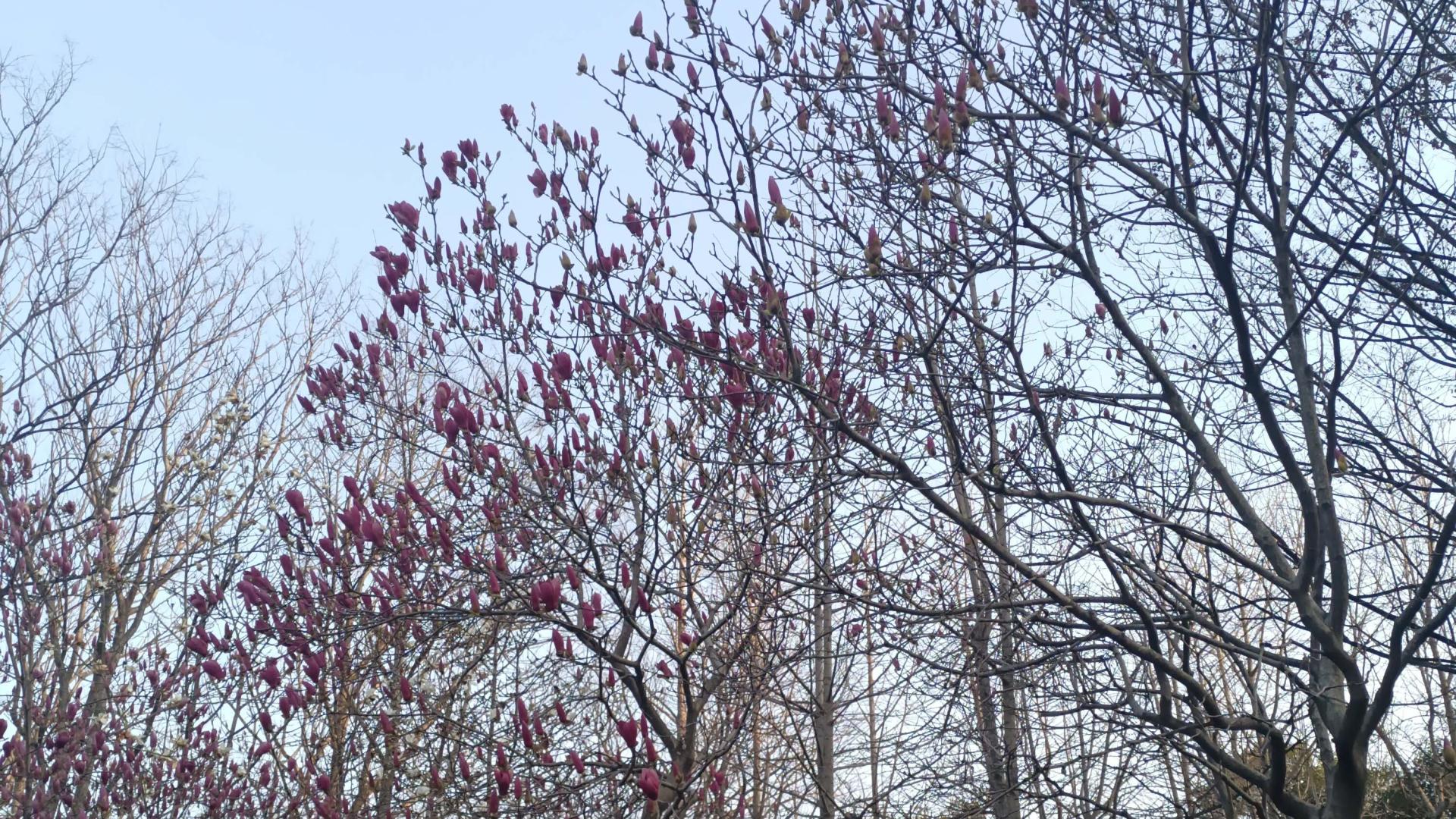 中年失业负债，我带娃在武汉摆地摊之31：健康和金钱哪个更重要？