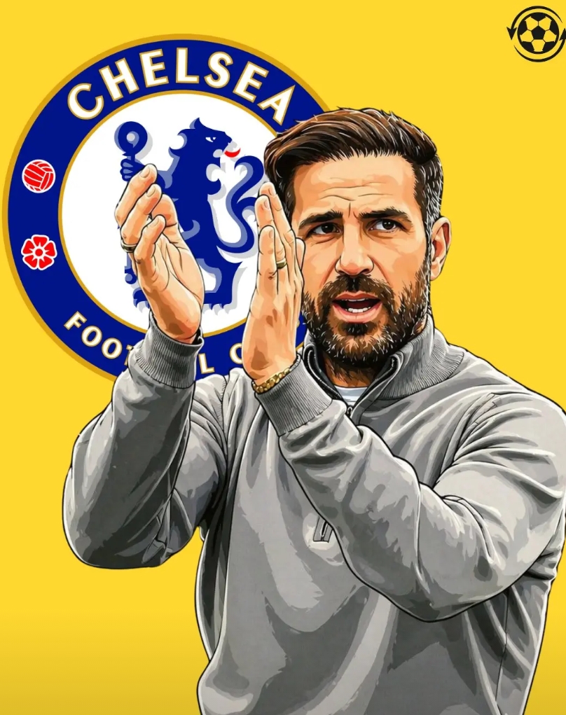 切尔西在解雇罗塞尼尔后，正认真考虑将法布雷加斯作为新任主帅的候选人。

蓝军之所