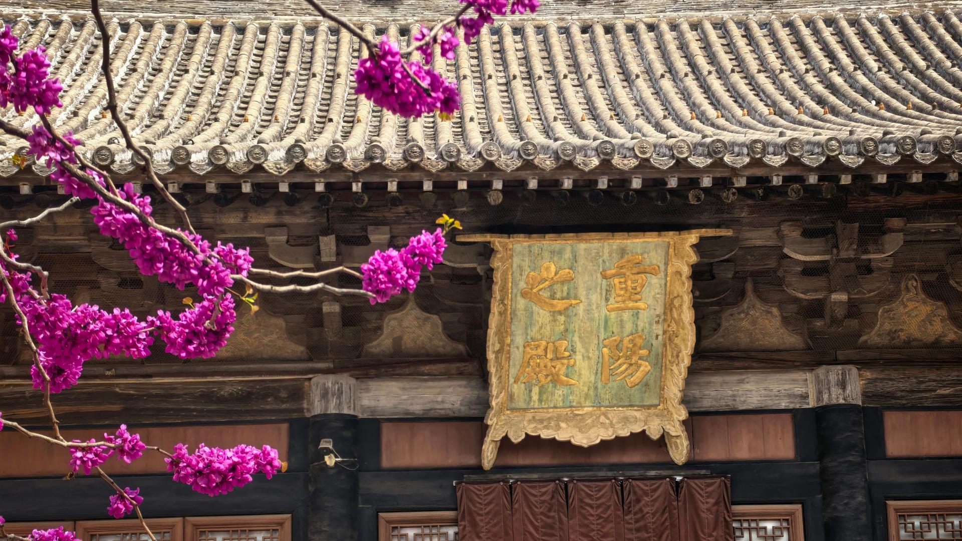 这座东方艺术殿堂建造了100年，后来搬迁又用了10年，你说厉害不