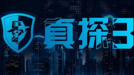 在文字迷宫里追问真相