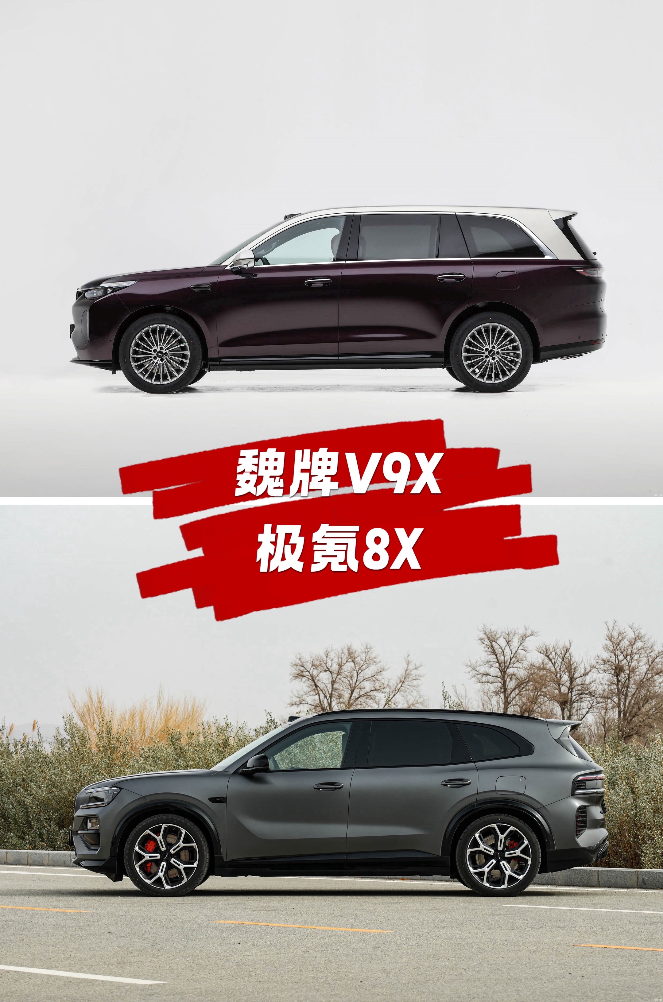 魏牌V9X与极氪8X，豪华SUV谁更值得入手？