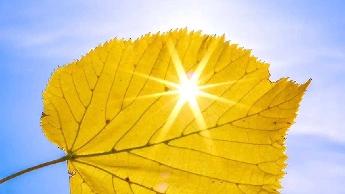 流言蜚语，追不上一直向前的人