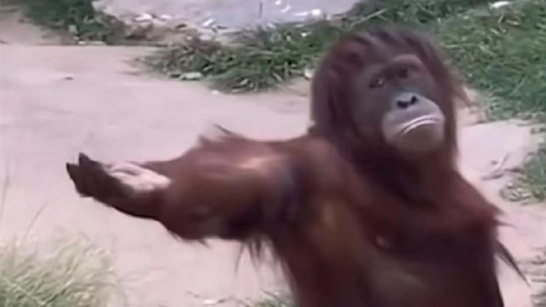 萝卜快跑，最新型的人格测试题