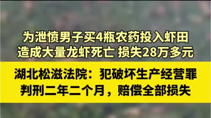 为泄愤男子买4瓶农药，向相邻虾农的虾田投毒，被判刑二年二个月