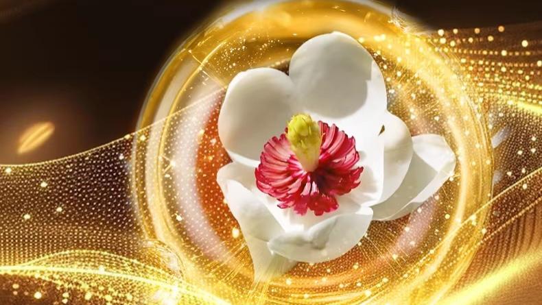 40 + 熟龄斑怎么选淡斑又抗衰？2026 权威祛斑美白面霜新鲜出炉，美白祛斑紧致淡化细纹提亮