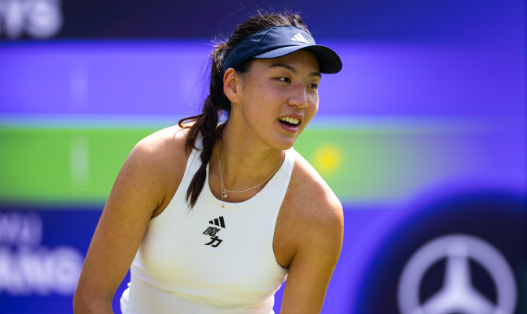 WTA500巴特洪堡站第二轮，王欣瑜以6-3 6-4淘汰费尔南德斯，本赛季第三次