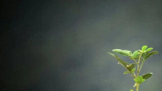 2026，科技品牌在抖音重塑体系化营销力