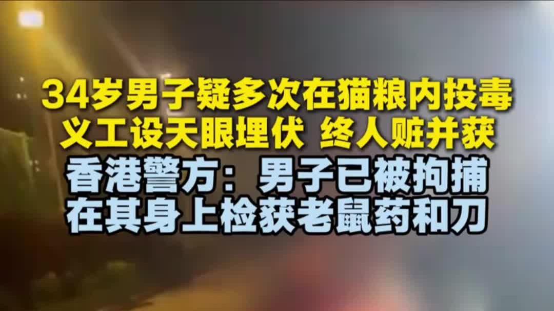 男子疑多次在公园的猫粮内投毒，被抓时身上还有老鼠药和刀