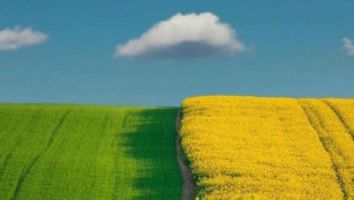 有福之人也是行善之人