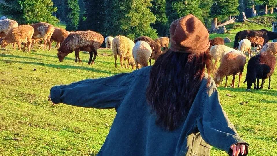 惊蛰后第二周！这5大生肖大叔大爷运势稳了：正财稳、家运顺、身体健，转发接福气