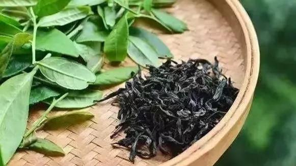 青茶的起源与变更是怎么回事?