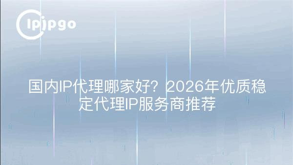 国内IP代理哪家好？2026年优质稳定代理IP服务商推荐