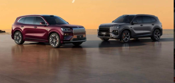 极氪 8X开启预售，38分钟小订突破10000辆。

极氪 8X基于SEA-S超