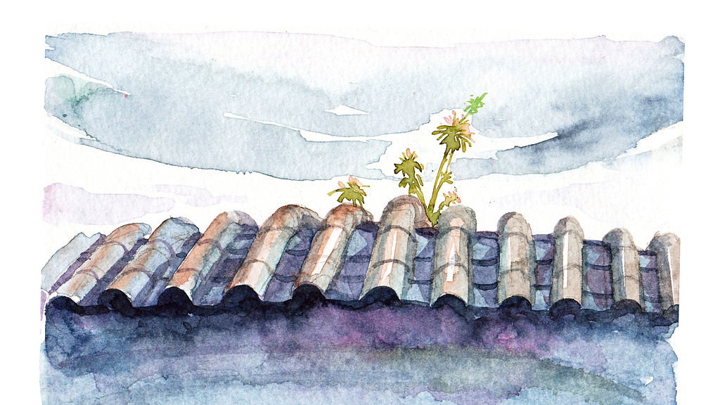 老公失业在家躺平半年，我精心伺候! 爸妈先吼我犯贱，后又心疼我命苦! 我冷笑，你们才是罪魁祸首!