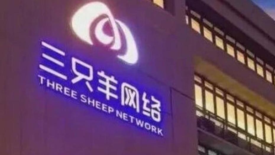 跨境求生的三只羊，还是低估了出海难度