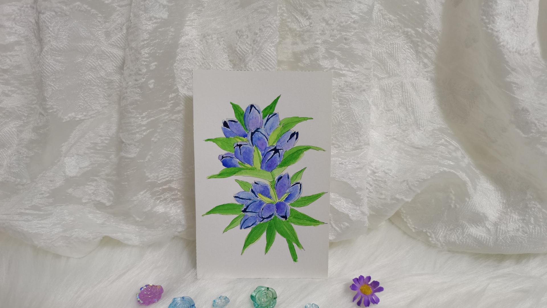 55 龙胆（绘画 水彩 果花甘06）