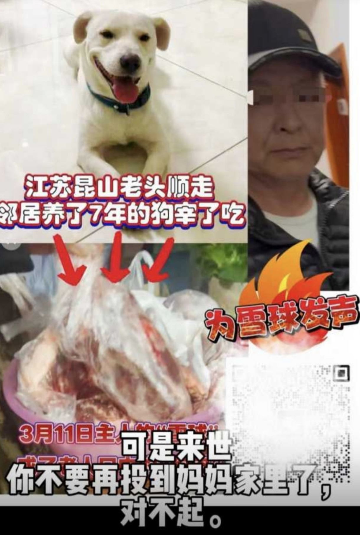昆山“雪球”惨案：7年爱犬走失，竟被邻居剥皮下锅！这哪是吃肉，这是吃“人血馒头”