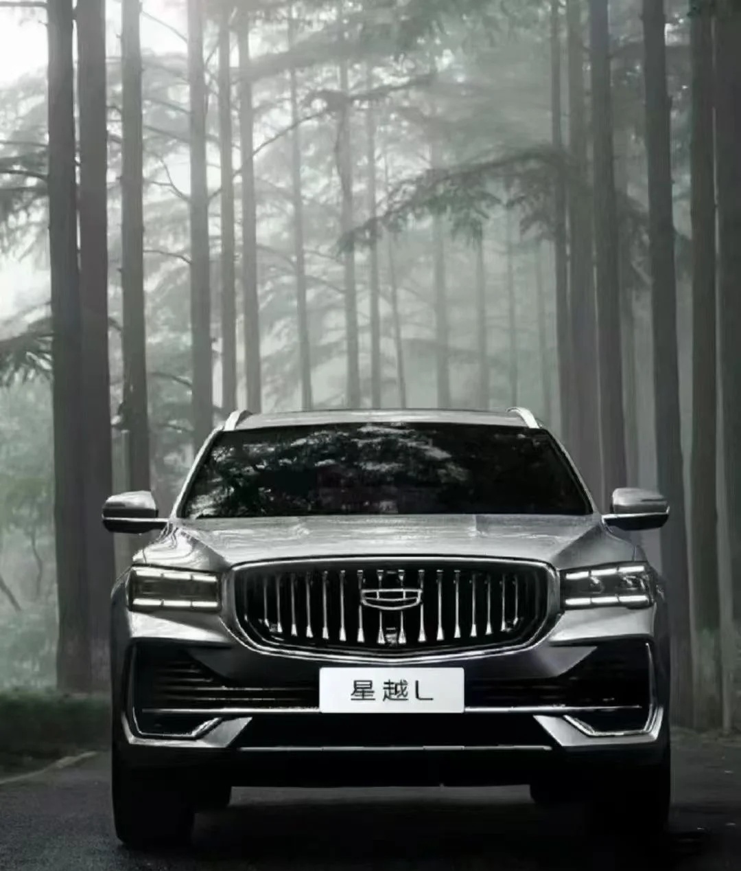 星越L芯片技术规格
星越L分 智能座舱芯片 与 智能驾驶芯片 两套核心规格，全系