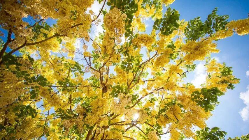 家电产业内卷已经蔓延，底线或失守！