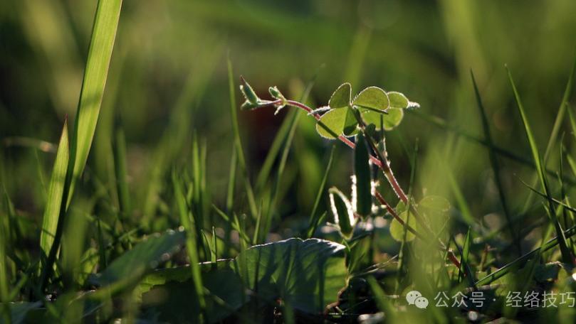 睡前按揉这里，让“火”不乱窜，“水”不乱跑，半夜不起夜，睡觉安稳了！