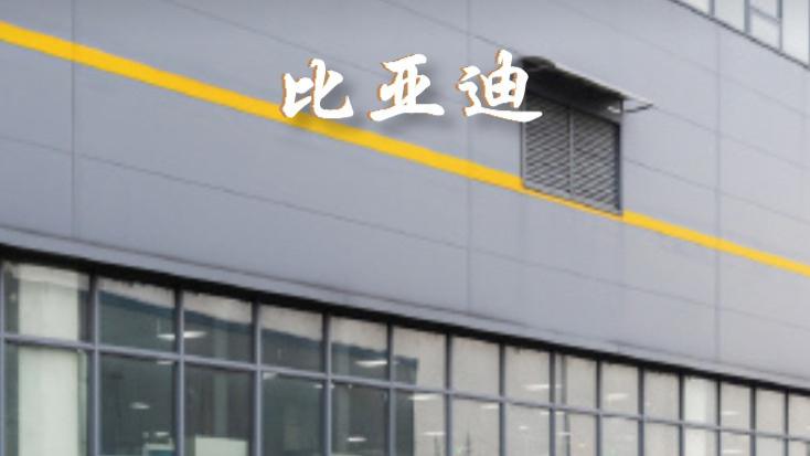 比亚迪太争气了！