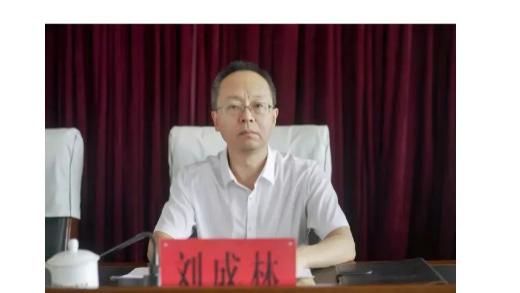 55岁刘成林突遭审查！县人大“一把手”落马，辽宁反腐剑指“最后一公里”？