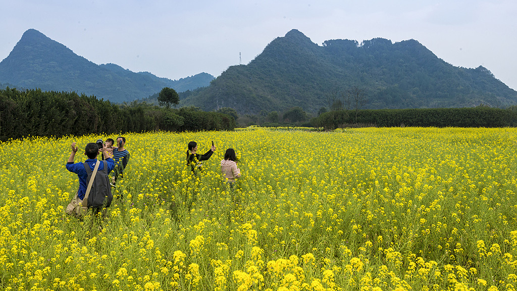《吸引力法则》：这样向宇宙下订单，好运自然来敲门